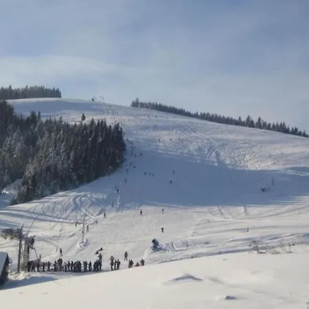 Snezienka Litmanová